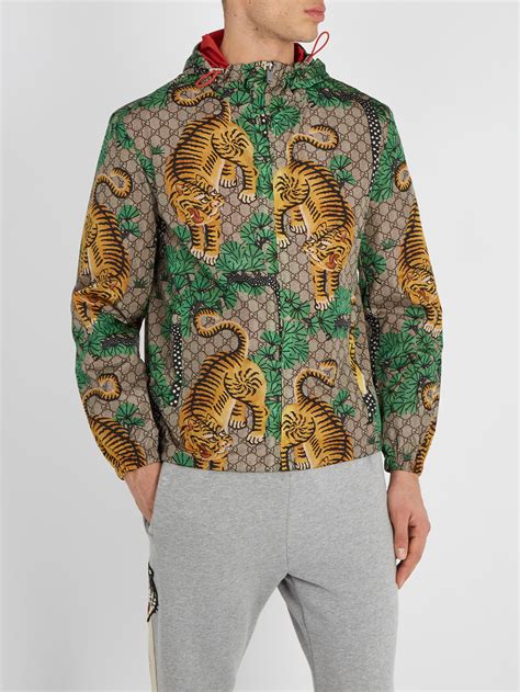 gucci bengal tiger bermuda|Gucci Bengal Tiger Print Jacket in Green for Men .